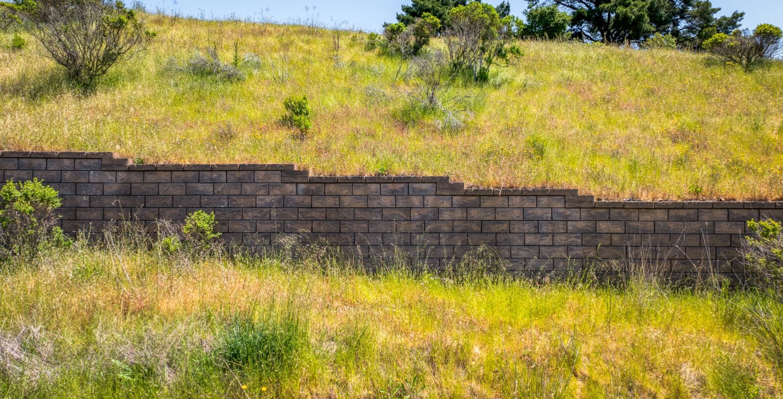 Five canyons project wall