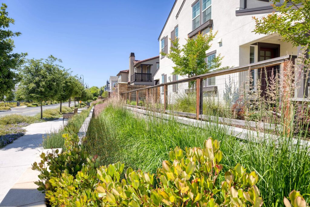 Oak Park project